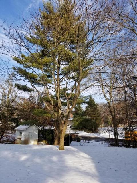236 E Torrence Rd, Columbus, OH 43214 photo 56