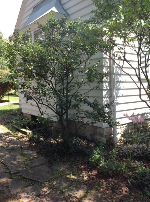 236 E Torrence Rd, Columbus, OH 43214 photo 81