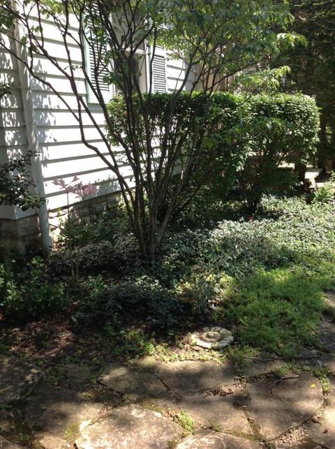 236 E Torrence Rd, Columbus, OH 43214 photo 80