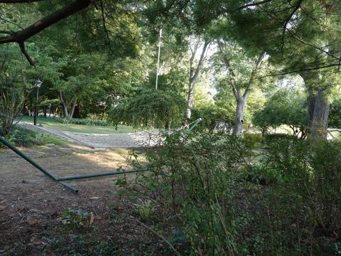 236 E Torrence Rd, Columbus, OH 43214 photo 60