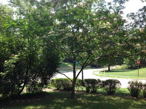 236 E Torrence Rd, Columbus, OH 43214 photo 72