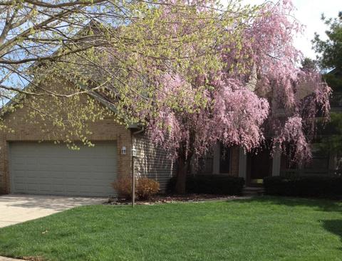 7420 Gardengate Pl, Dublin, OH 43016 photo 3