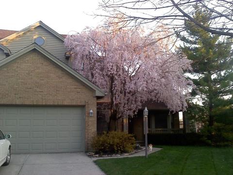 7420 Gardengate Pl, Dublin, OH 43016 photo 2