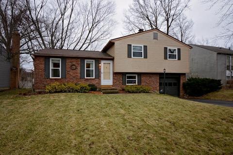 8754 Ripton Dr, Powell, OH 43065 photo 22
