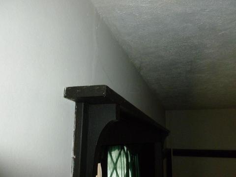 310 E Madison Ave, Springfield, OH 45503 photo 70