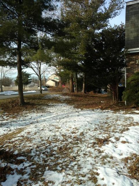 8683 Shear Dr, Powell, OH 43065 photo 3