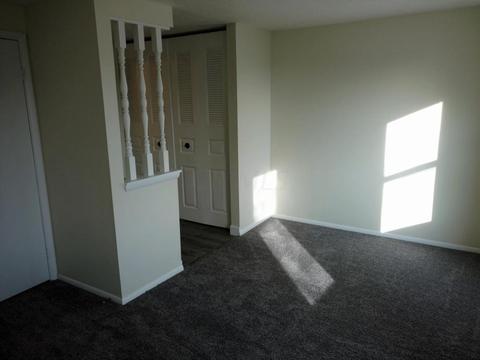 8683 Shear Dr, Powell, OH 43065 photo 23