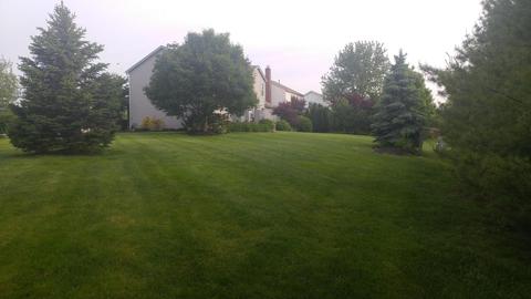 6040 Anna Loop, Dublin, OH 43016 photo 3