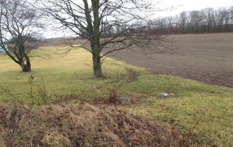 20651 State Route 292, Ridgeway, OH 43345 photo 3