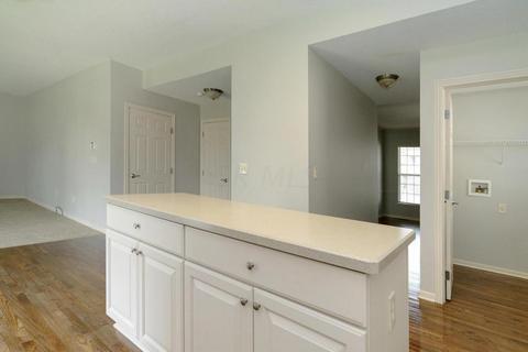 155 Ruby Red Ln, Delaware, OH 43015 photo 5