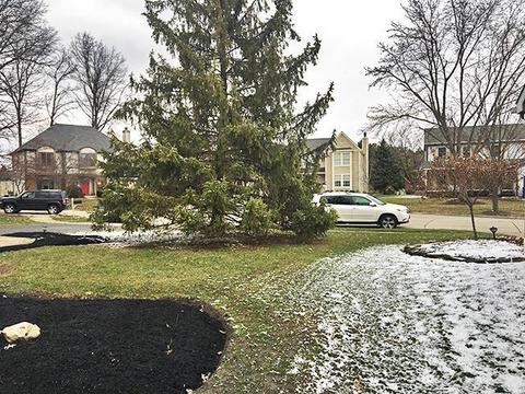 7475 Mapleleaf Ct, Columbus, OH 43235 photo 20