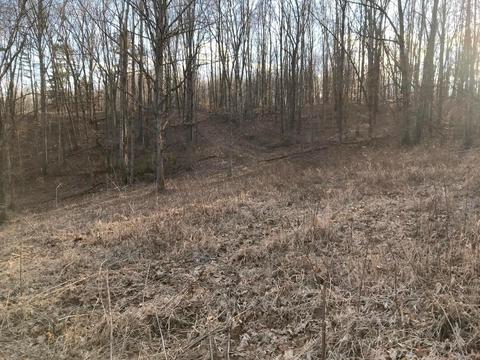 263 Borland Rd, Ray, OH 45672 photo 24