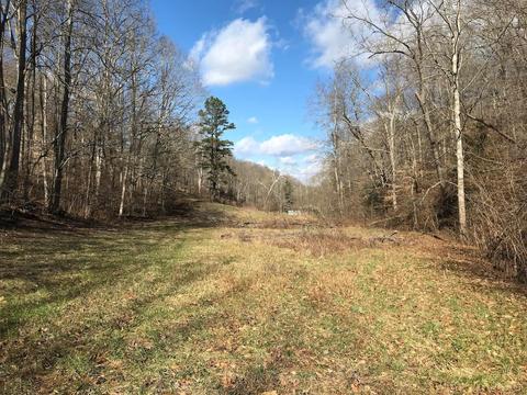 263 Borland Rd, Ray, OH 45672 photo 7