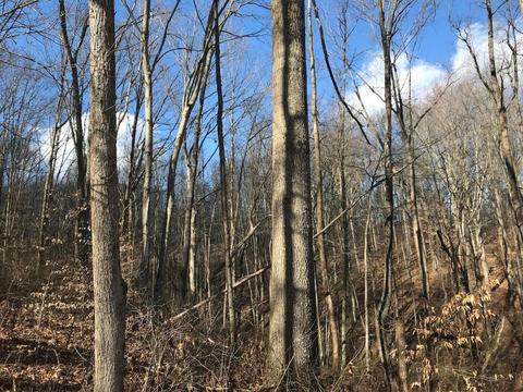 263 Borland Rd, Ray, OH 45672 photo 10