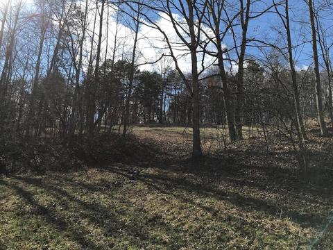 263 Borland Rd, Ray, OH 45672 photo 6