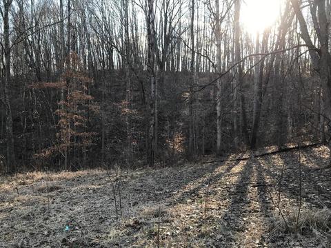 263 Borland Rd, Ray, OH 45672 photo 21