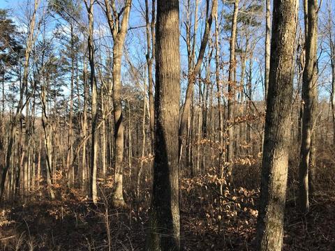 263 Borland Rd, Ray, OH 45672 photo 23