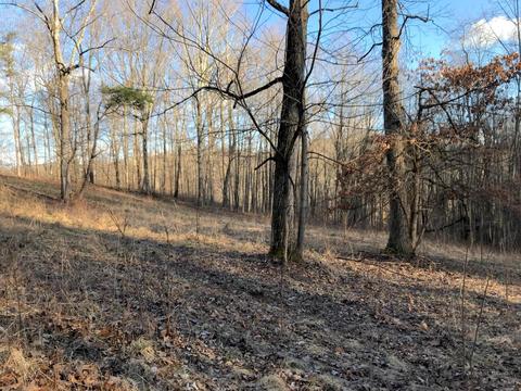263 Borland Rd, Ray, OH 45672 photo 22