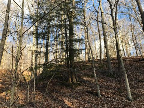 263 Borland Rd, Ray, OH 45672 photo 17