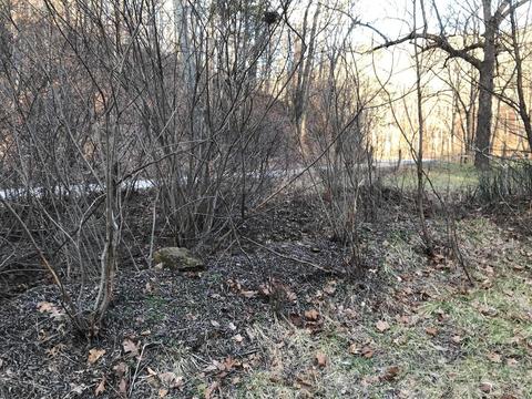 263 Borland Rd, Ray, OH 45672 photo 29