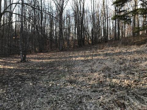 263 Borland Rd, Ray, OH 45672 photo 20