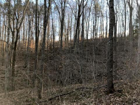 263 Borland Rd, Ray, OH 45672 photo 26