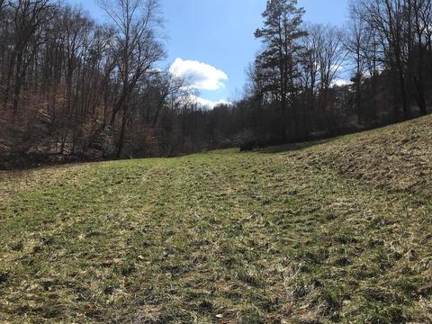 263 Borland Rd, Ray, OH 45672 photo 3