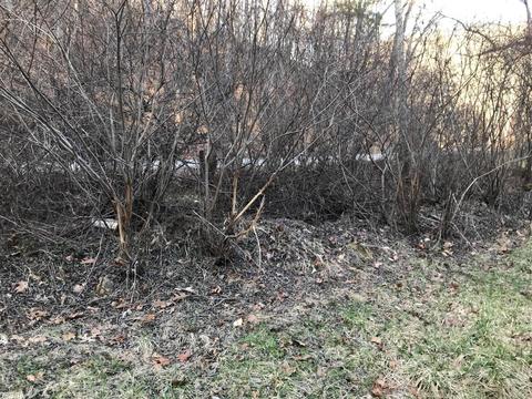 263 Borland Rd, Ray, OH 45672 photo 28