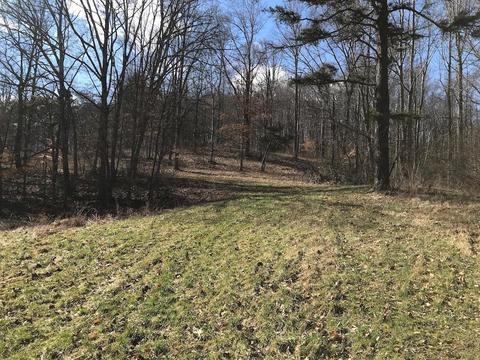 263 Borland Rd, Ray, OH 45672 photo 4