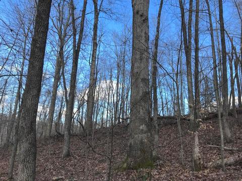 263 Borland Rd, Ray, OH 45672 photo 16