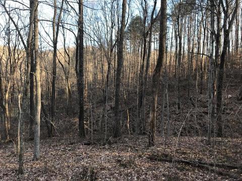 263 Borland Rd, Ray, OH 45672 photo 25