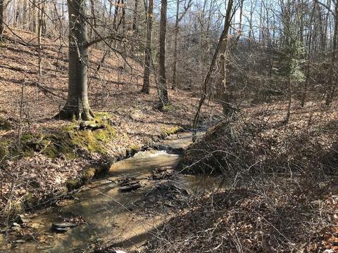 263 Borland Rd, Ray, OH 45672 photo 8
