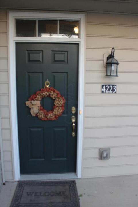4223 Bradhurst Dr, Dublin, OH 43016 photo 25