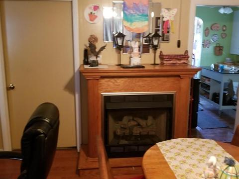 355 Chestnut St, Marion, OH 43302 photo 5
