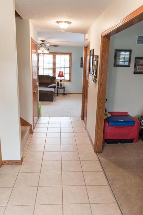 1069 Thomas Dr, Marion, OH 43302 photo 8