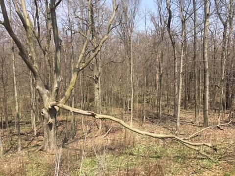 31 Hillgate Rd, Johnstown, OH 43031 photo 13