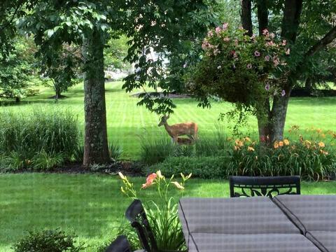 2554 Ashcroft Loop, Blacklick, OH 43004 photo 56