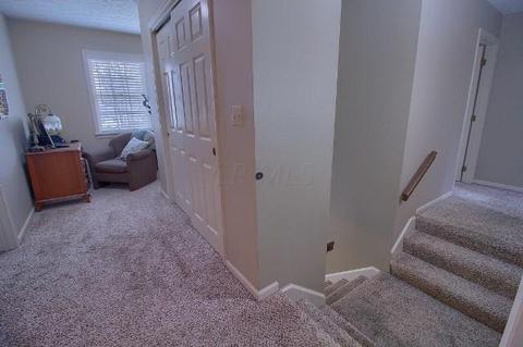 570 Hickory Pl, Circleville, OH 43113 photo 33