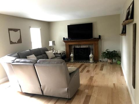 232 Old Spring Ln, Dublin, OH 43017 photo 4
