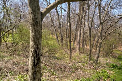 308 Ridgeway Dr, Howard, OH 43028 photo 56