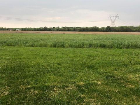 13181 Ridgeway Rd, Orient, OH 43146 photo 4