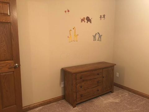 13181 Ridgeway Rd, Orient, OH 43146 photo 26