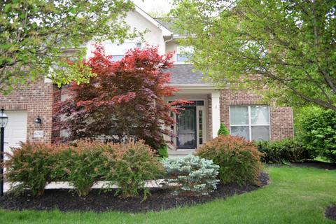 6743 Burnside Ln, Dublin, OH 43016 photo 3
