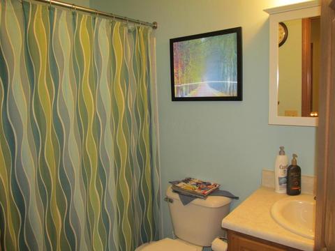 196 Harvard Loop, Delaware, OH 43015 photo 25