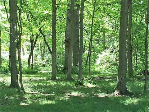 433 Mcadams Rd, Cable, OH 43009 photo 11