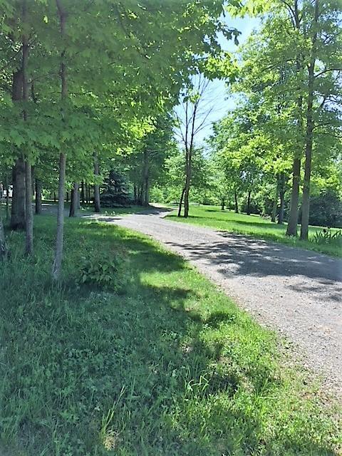 433 Mcadams Rd, Cable, OH 43009 photo 3