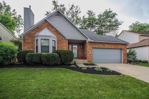 7419 Mapleleaf Blvd, Columbus, OH 43235 photo 1