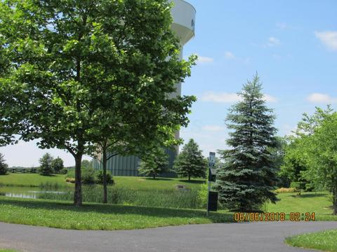 318 Cherry Leaf Rd, Delaware, OH 43015 photo 53