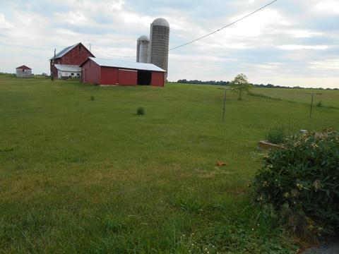 4879 David Rd, Delaware, OH 43015 photo 9