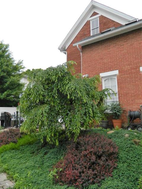 131 W Union St, Circleville, OH 43113 photo 36